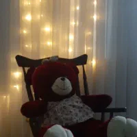 عروسک خرس بزرگ|اسباب‌بازی بچه|مشکین‌دشت, |دیوار