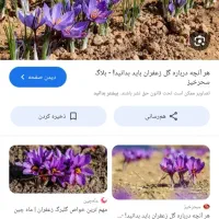 گلچینی