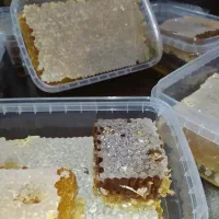 عسل تازه خلخال(برداشت پائیز ۱۴۰۴)|خوردنی و آشامیدنی|رشت, باهنر|دیوار