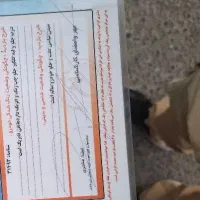 پراید ۹۱ دوگانه کارخونه|خودرو سواری و وانت|سمنان, |دیوار