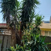 فروش خانه ویلای ۲ خوابه در منظریه۲۰۰متری|فروش خانه و ویلا|رشت, منظریه|دیوار