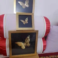 قاب پروانه