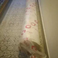 پلازموکت