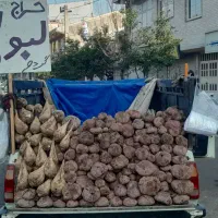 محصول کشاورزی