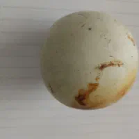 سنگ الماس اسیاب بسیار زیبا و کهن