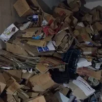 باسلام کارتون ۲۴