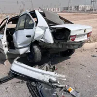 سمند تصادفی