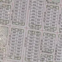 بهارخواب-باواحد