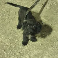 گمشده حوالی شهرک صنعتی شفت