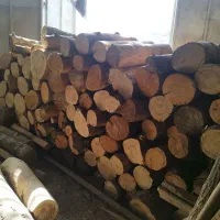 چوب درخت جعبه پالت چوبی|عمدهفروشی|مشهد, کوی ولیعصر|دیوار