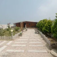 نصب سنگ کاشی سرامیک موزائیک و اسلب انتیک|خدمات پیشه و مهارت|زرگرشهر, |دیوار