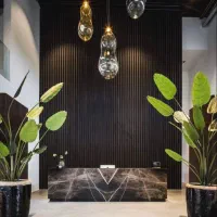 استخدام تدوینگر حرفه ای