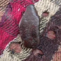 هر کی مشتری زگ بزنه