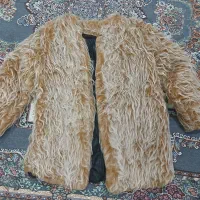 پالتوخزدار