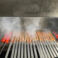 منقل کار حرفه ای جگرکی منقل ذغالی|استخدام خدمات فروشگاه و رستوران|تهران, دروازه شمیران|دیوار