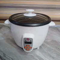 پلوپز مولتی کوکر ۴ نفره پارس خزر