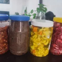 ترشی خوشمزه کاملا بهداشتی|خوردنی و آشامیدنی|تهران, مسعودیه|دیوار