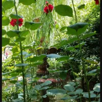 تالار بزرگ پذیرایی (ورودی فقط ۱۵ تومن)