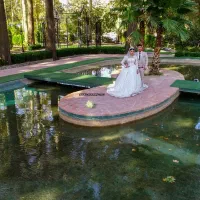 Fpv فیلمبردار