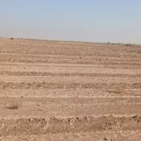 ۲۰ هکتار زمین کشاورزی آبیاری برای فروش