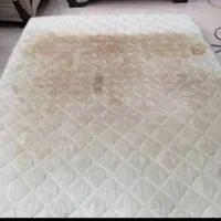 مبل شویی فولادشهر مبلشویی موکت شویی قالیشویی درمحل|خدمات نظافت|فولادشهر, B1|دیوار