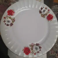 بشقاب چینی غذا خوری|ظروف سرو و پذیرایی|بروجرد, |دیوار