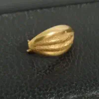 گوشواره گمشده