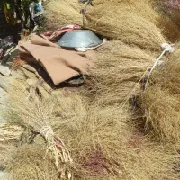 جارو شیرازی|لوازم نظافت|خرمآباد, |دیوار