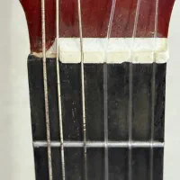 گیتار|گیتار، بیس، امپلیفایر|ری, فیروزآبادی|دیوار