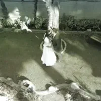 فیلمبرداری با نازلترین قیمت نقد و اقساط|خدمات پذیرایی، مراسم|اصفهان, شیخ طوسی|دیوار