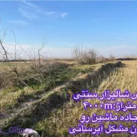 شالیزار-سنتی