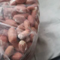 بادام منقا زرین|خوردنی و آشامیدنی|مشگین شهر, |دیوار