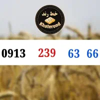 0913.238.66.36|سیم‌کارت|اصفهان, خواجو|دیوار