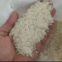 برنج فجر و دمسیاه