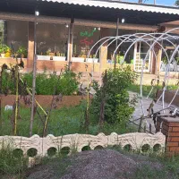 اجاره یک باب مغازه ۸۰متری|اجارهٔ مغازه و غرفه|چاف و چمخاله, |دیوار