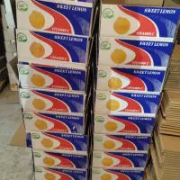 کارتن زغال و مرکبات|عمده‌فروشی|جهرم, |دیوار