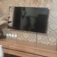 تلویزیون تی س ال