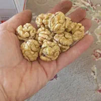 فروش ویژه آلو بخاراگردو کشمش|خوردنی و آشامیدنی|شیراز, نصر|دیوار