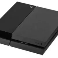 PS4 fat
