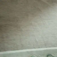 پلازمکت