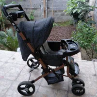 کالسکه دلیجان مدل بنیتا