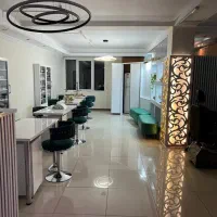 رنگ و مش کار حرفه ایی