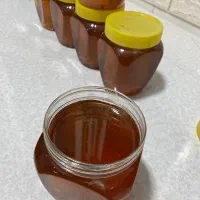 عسل|خوردنی و آشامیدنی|قرچک, باقرآباد|دیوار