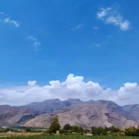 فروش زمین کشاورزی|فروش دفتر صنعتی، کشاورزی، تجاری|شیراز, ظفرآباد|دیوار