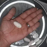 مهره و کتاب صبی|کلکسیون اشیاء عتیقه|رامهرمز, |دیوار