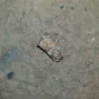سنگ‌گوهر شب چراغ راف