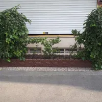 شکوفه/ولیعصر/عارف/۱۵ متر مغازه بر خ اصلی با بالکن|فروش مغازه و غرفه|تهران, مینا|دیوار