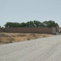 فروش زمین باغی شش دانگ از طریق مزایده دادگستری|فروش زمین و ملک کلنگی|مشهد, خلق آباد سفلی|دیوار