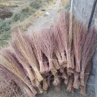جارو دسته شده|عمده‌فروشی|نهاوند, |دیوار