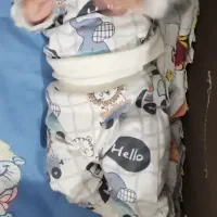 لباس نوزادی|لباس|یزد, |دیوار